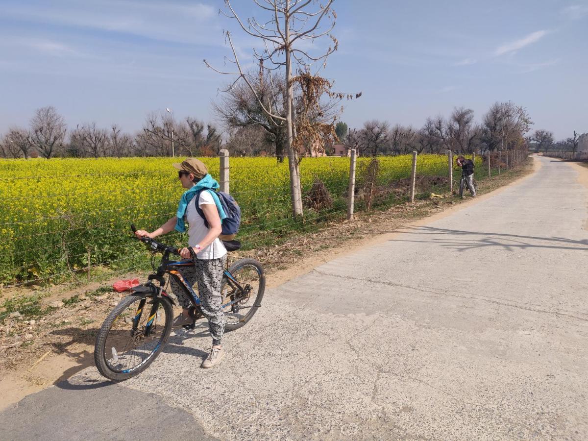 Tourist Pension Nawalgarh ภายนอก รูปภาพ